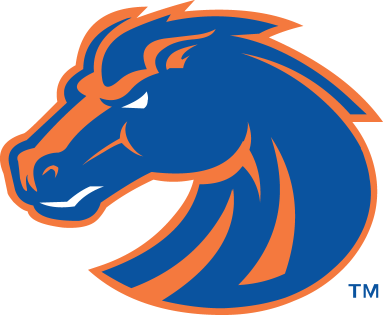 Boise State Broncos 2002-2012 Secondary Logo t shirts iron on transfers